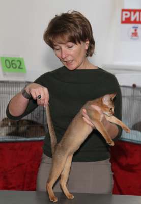 �������� ����� '������� ���-�����' 30 ������-1 ������� 2013., WCF-����� 2938